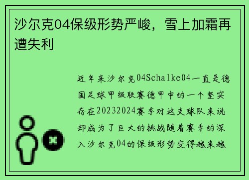 沙尔克04保级形势严峻，雪上加霜再遭失利